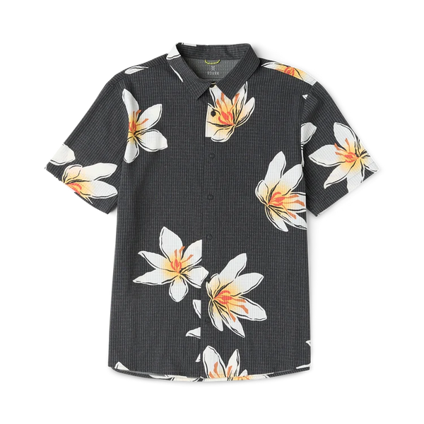 Bless Up - Black Crocus