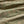 Load image into Gallery viewer, Shorey Trunks - Dusty Sage
