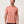 Load image into Gallery viewer, Top Places Tee - Brick Dust
