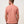 Load image into Gallery viewer, Top Places Tee - Brick Dust
