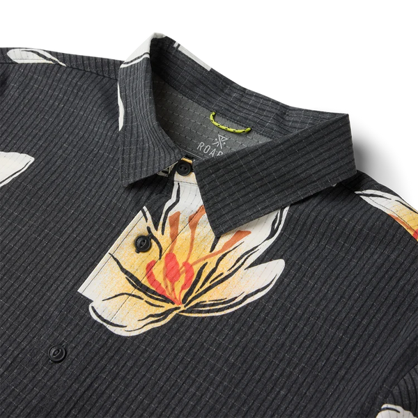 Bless Up - Black Crocus