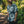 Load image into Gallery viewer, Bless Up Breathable Stretch Shirt - Navy Pukpulko
