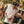 Load image into Gallery viewer, Featherweight Palms Polo - White
